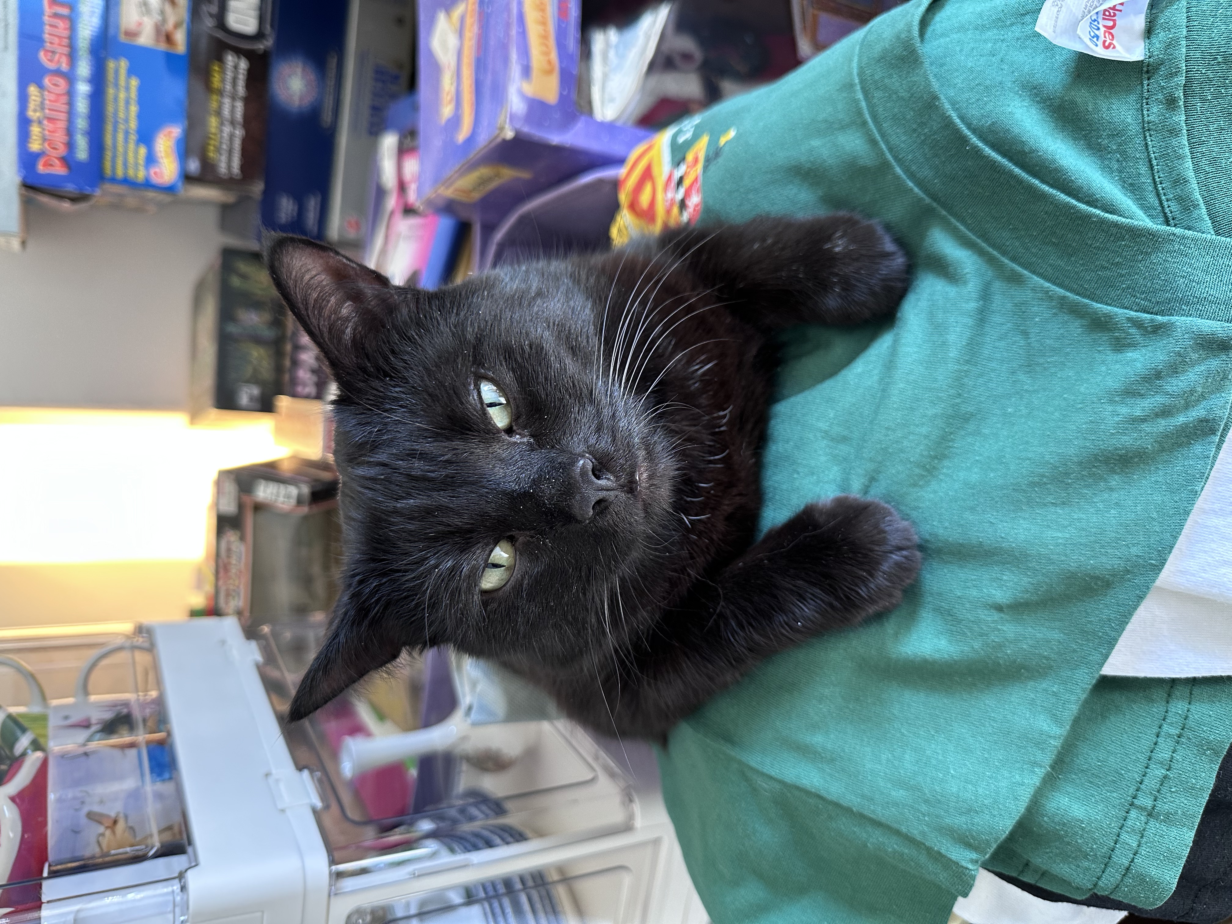 Skips McCoy, Proprietor